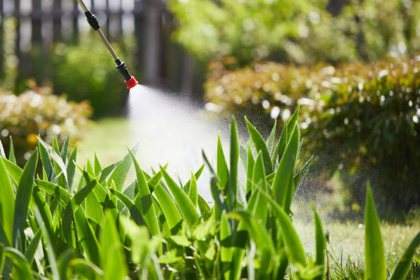 24/7 Emergency Mosquito Control experts in Cumming, GA